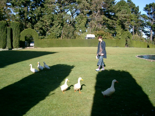 ニュージーランド